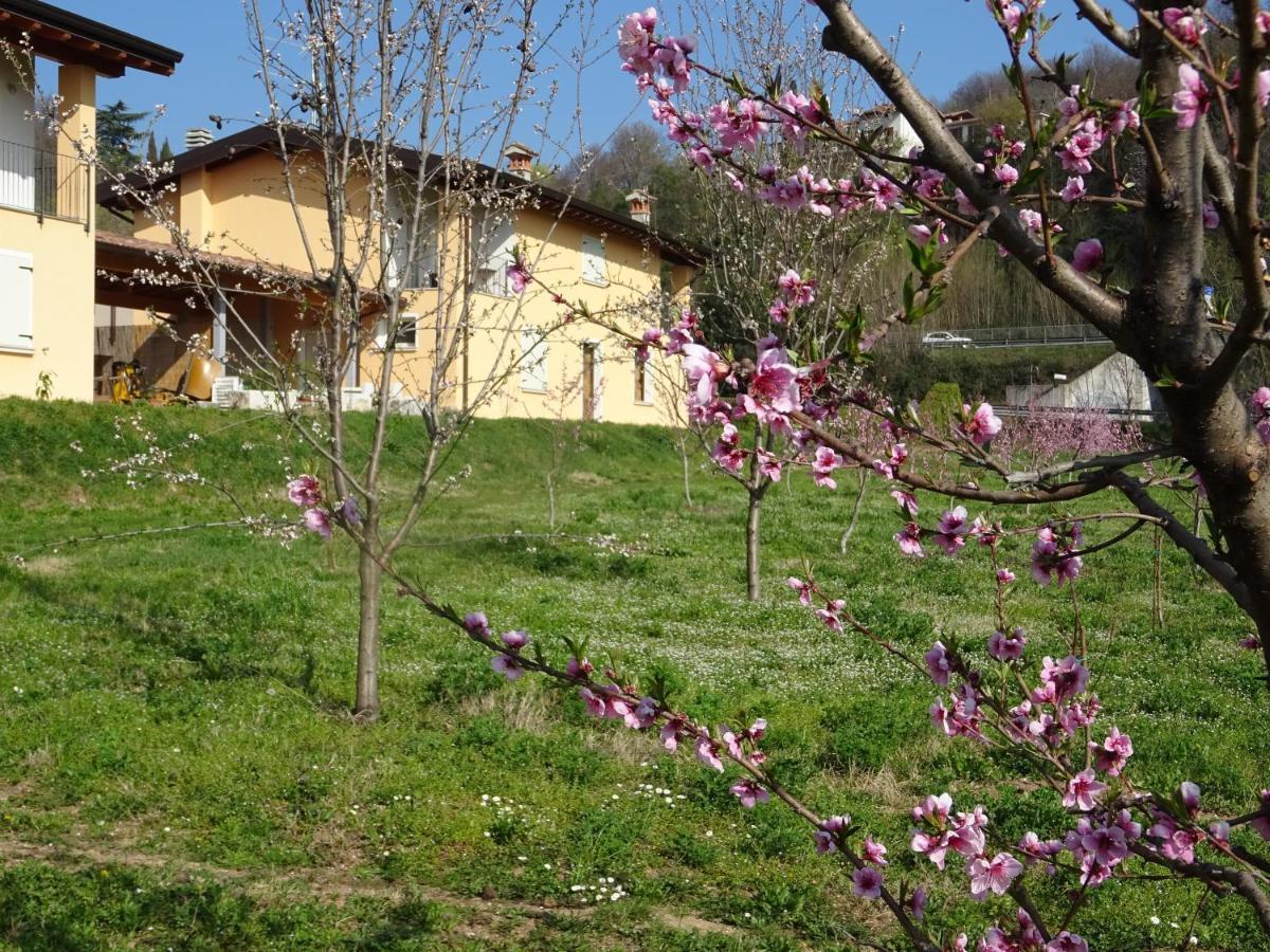 Cascina Legnago Trilocale A 6 Chilometri Da Salo' Apartment Villanuova sul clisi Luaran gambar