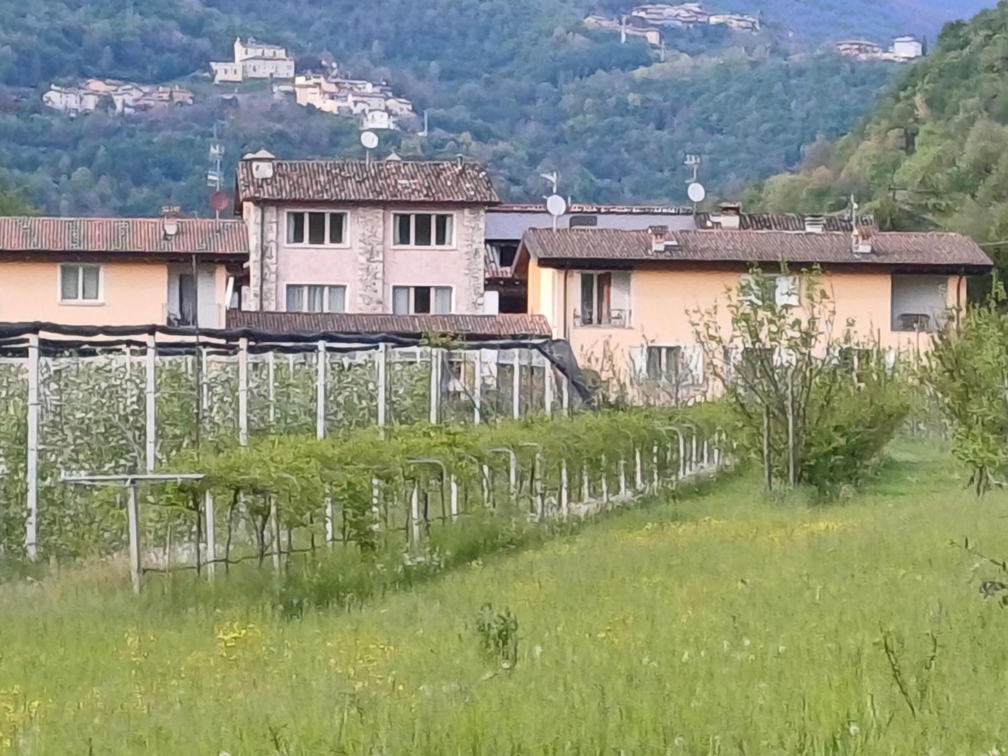 Cascina Legnago Trilocale A 6 Chilometri Da Salo' Apartment Villanuova sul clisi Luaran gambar
